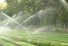 Pialligolandscaping-water-management-and-drainage-17.jpg; ?>